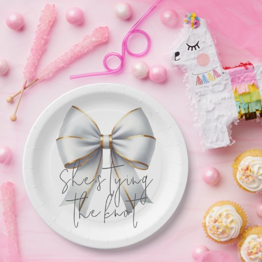 Das Brautparty des weißen Knots Pappteller (Party)