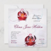 Das Brautparty ist mit weißen Orchideen ausgestatt Einladung (Rückseite)