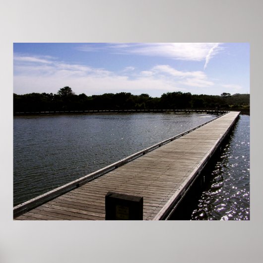 Das Bridge-Poster Poster (Vorne)