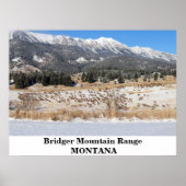Das Bridger-Gebirge in Montana Poster (Vorne)