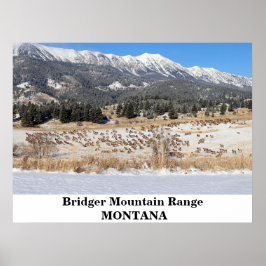 Das Bridger-Gebirge in Montana Poster
