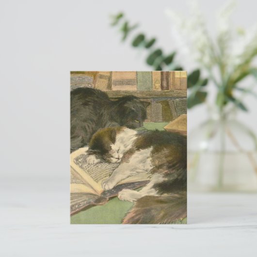 Das Buch der Katze: Great Panjandrum Postkarte (Stehend Vorderseite)