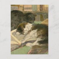 Das Buch der Katze: Great Panjandrum