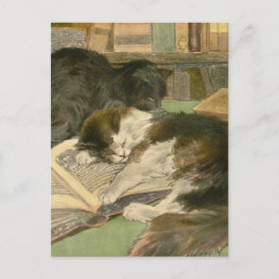 Das Buch der Katze: Großer Panjandrum Postkarte