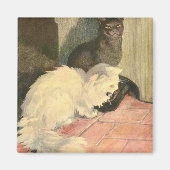 Das Buch der Katze: Snowball und Ebony Magnet (Vorne)