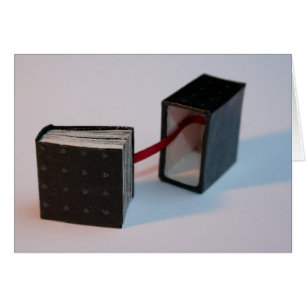 Das Buch der Miniatur-Künstler mit der Box Open Ca