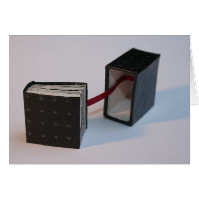 Das Buch der Miniatur-Künstler mit der Box Open Ca (Vorderseite (Horizontal))