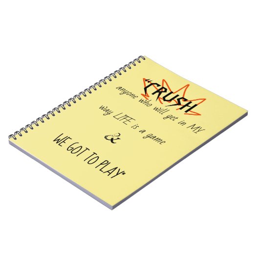 Das Buch zum Spielen (Linke Seite)