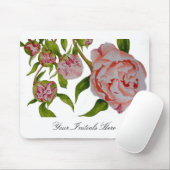 Das Budgen von Zwergspitzen auf einem Mauspad (Mit Mouse)