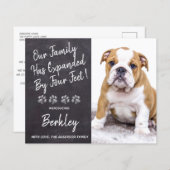 Das Budget wird um vier Füße erweitert. (Vorne/Hinten)