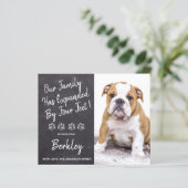 Das Budget wird um vier Füße erweitert. (Stehend Vorderseite)