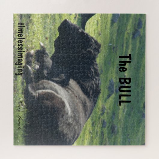 Das Bull Puzzle wird von den Sutter Buttes Mountai (Horizontal)