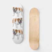 Das Bulldoggen-Skateboard Skateboard (Vorderseite)