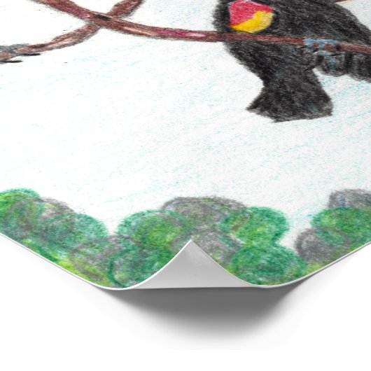 Das bunte Poster der Ansammlung-Songbirds (Ecke)