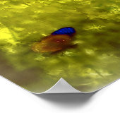 Das Butterfly Fairy Poster (Ecke)