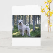 das caoted Weiche wheten Terrier voll im Holz Karte (Gelbe Blume)