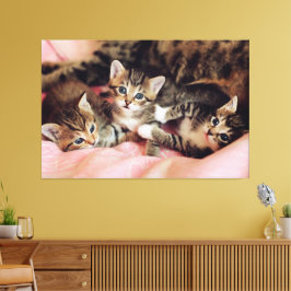 Das Cat Pack Canvas drucken Bild Leinwanddruck