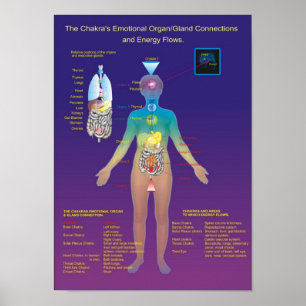 Das Chakra Organ/die Drüse und der Energie-Fluss Poster