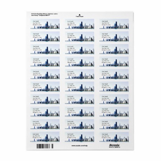 Das Chicago Skyline Lightly Foto (Vorne)