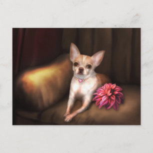 Das "Chihuahua-Portrait I" der Jaguarwoman Postkarte