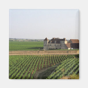 Das Clos de Vougeot 16. Jahrhundert Kloster und Magnet