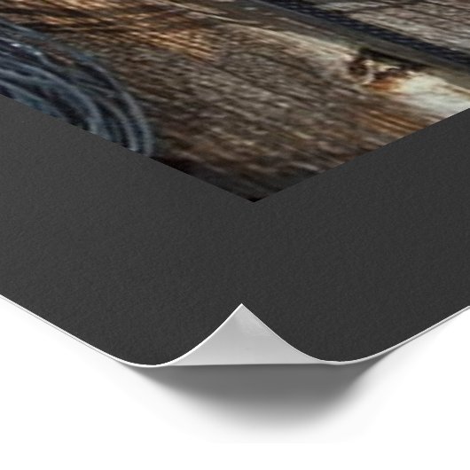 Das Cowboy-Leben Poster (Ecke)