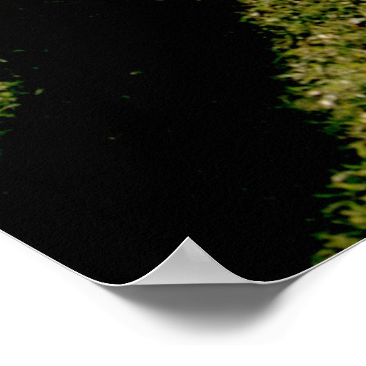 Das Cricket-Match Poster (Ecke)