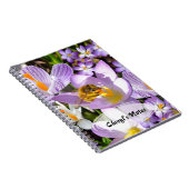 Das Crocus Taster Notizblock (Rechte Seite)