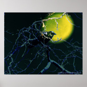 Das Crow-Poster Poster