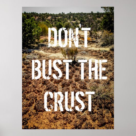 Das Crust-Cryptobiotic-Soil-Poster nicht abbrechen Poster (Vorne)