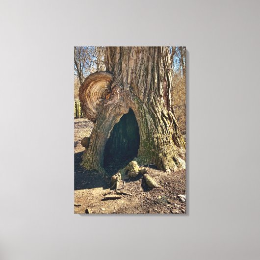 Das Curious Hollow 20x30 Leinwanddruck (Vorderseite)