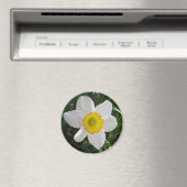 Das Daffodil Magnet (In Situ (Geschirrspüler))