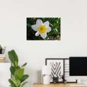 Das Daffodil Poster (Heimbüro)