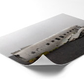 Das DC9-Flugzeugwrack Poster (Ecke)