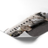 Das DC9-Flugzeugwrack Poster (Ecke)
