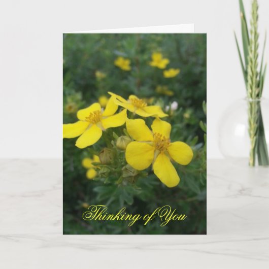 Das Denken an Sie kardieren Karte (Vorderseite)