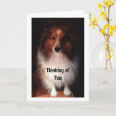 Das Denken an Sie kardieren Karte (Gelbe Blume)