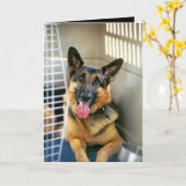 Das Denken an Sie kardieren Karte (Gelbe Blume)