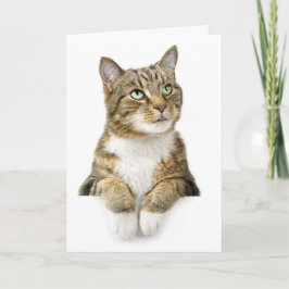 Das Denken an Sie kardieren Karte