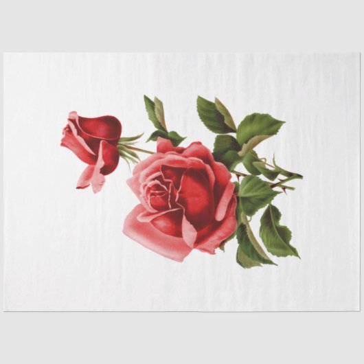 Das Design der Bouquet-Serie 134 Seidenpapier (Vorderseite)