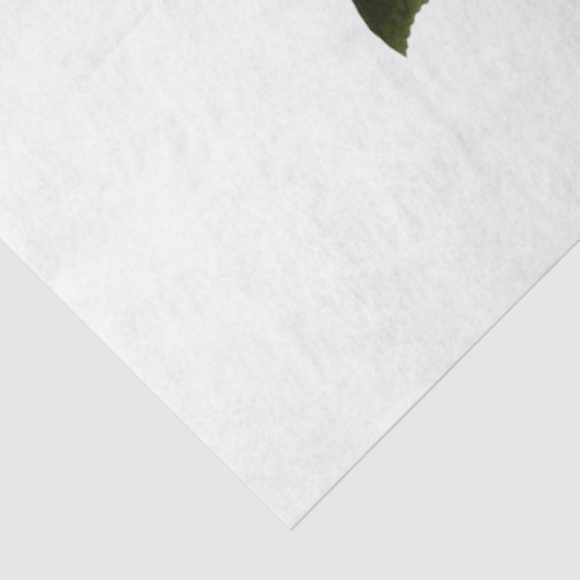 Das Design der Bouquet-Serie 170 Seidenpapier (Ausschnitt)