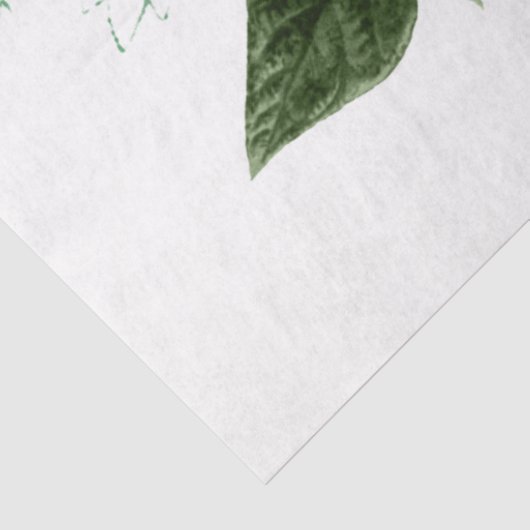 Das Design der Bouquet-Serie 172 Seidenpapier (Ausschnitt)