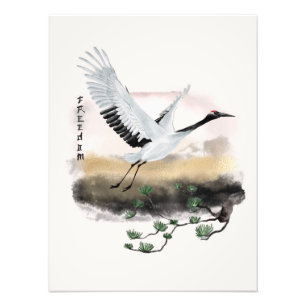 Das Design der Okinawa-Serie 12 Fotodruck
