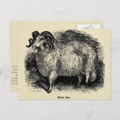 Das Dorset Postkarte (Vorne/Hinten)