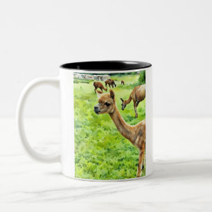 Das Drama für Ihre Lama-Tasse gerettet Zweifarbige Tasse