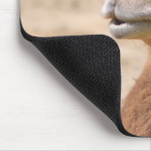 Das Dromedar Kamel - Mousepad (Ecke)