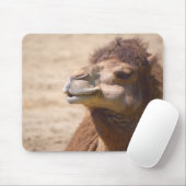 Das Dromedar Kamel - Mousepad (Mit Mouse)