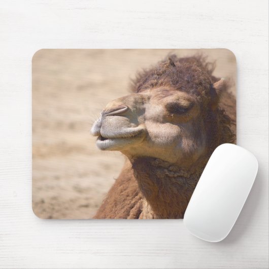 Das Dromedar Kamel - Mousepad (Mit Mouse)