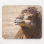 Das Dromedar Kamel - Mousepad (Vorne)