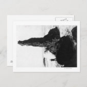 Das Duchess Rock in Newport, Oregon Postkarte (Vorne/Hinten)